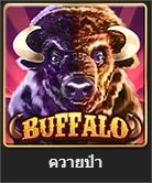 buffalo สล็อตออนไลน์ จาก royal hall