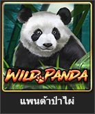 wild panda สล็อตออนไลน์ จาก royal hall